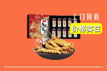 齐齐哈尔梅里斯区回收冬虫夏草